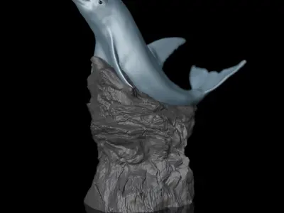 Dolphin on the Rock STL 3D Printing Model High-Polygon Free 3D print model