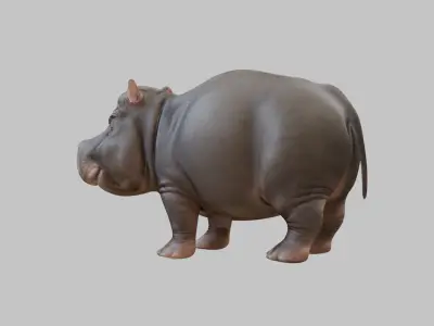 Realistic pygmy hippo Moodeng hippopotamus Low-poly 3D model