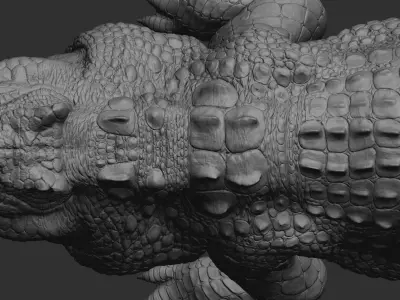 Hight detailed crocodile model 3D model