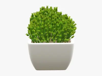 Plant artificial 06 3D model