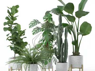 20 Photorealistic Flowers for Interiors - set 118 126 129 136 3D Model Collection