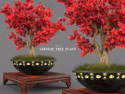 chinese tree plant 3D model