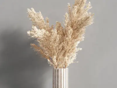 Collaction Plants Bouquet 16  pampas  3D model