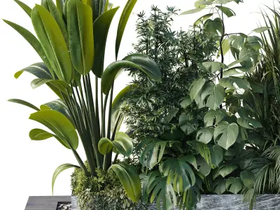 Outdoor plant box- Trees and shrubs in pot Set 145 Low-poly 3D model