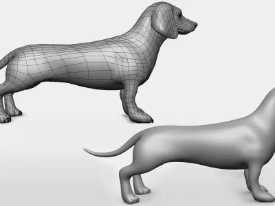 Dachshund Dog BaseMesh Low-poly 3D model