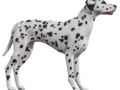 Dalmatian Dog  Low-poly 3D model