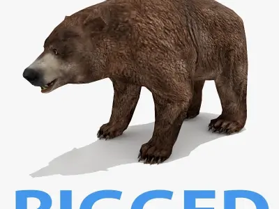 Bear - Rigged Low-poly 3D model