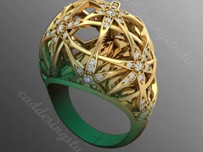 Ring bi 64 3D print model