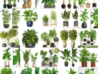 Collection of plants 55 pieces  3D model