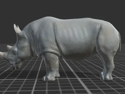 African Rhino Low-poly 3D model