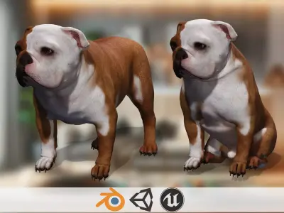 Pug Charming Bulldog French English Bulldog 3D Dog Models Low-poly 3D model