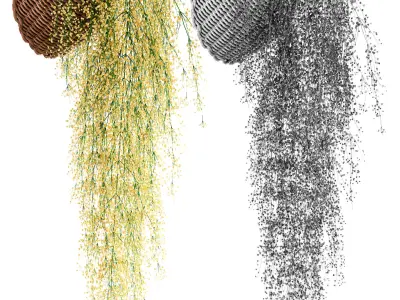 Hanging plants in wicker pots 3D model