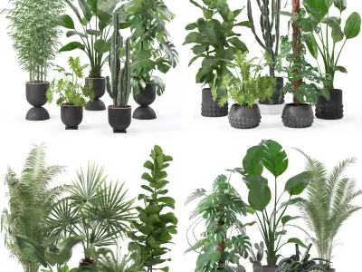 20 Photorealistic Flowers for Interiors - set 128 133 139 143 3D Model Collection