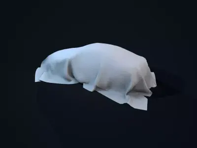 Car Covered Low-poly 3D model