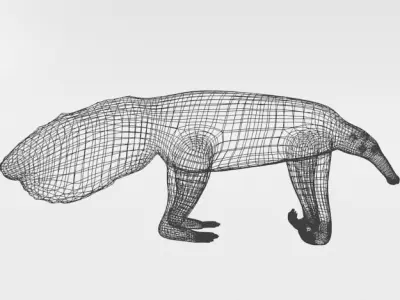 Anteater Low-poly 3D model