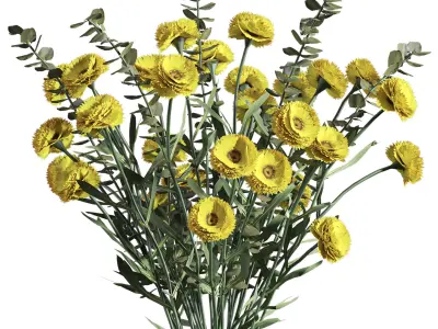 bouquet 3D model purchase