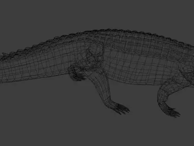 Crocodile Low-poly 3D model