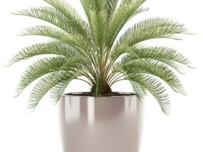 Plants collection 101 Awesomeplanters 3D model