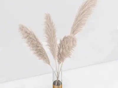 pampas in vase 01 3D model