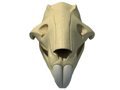 Rat Skull 3D model