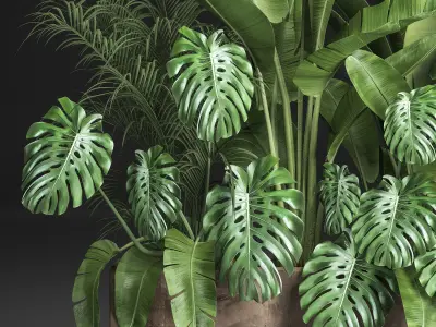 Houseplants in a flowerpot for the interior 937 3D model