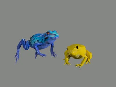 Frog - Dart Frog 2 Colors Low-poly 3D model