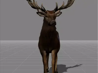 red deer v1 Low-poly 3D model