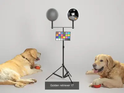 People sport 13 3D Model Pack