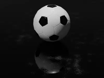 Soccer Ball 3D model 31