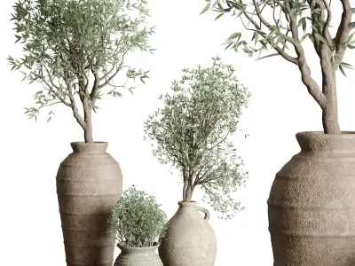Olive tree in an old earthenware vase indoor set 351 Low-poly 3D model