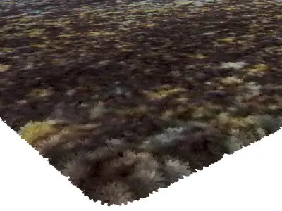 Rug Set 1672 3D model
