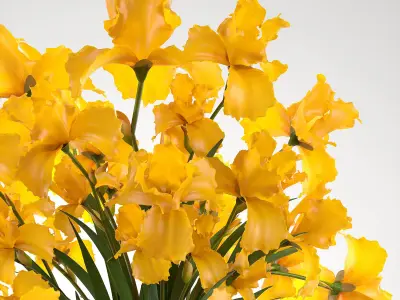 bouquet of yellow flowers 3D model