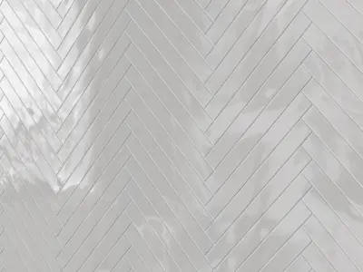 Carolina Polished Ceramic Tile 3D model