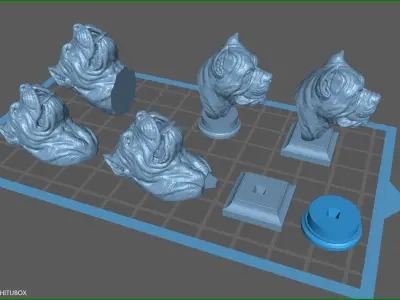 Canne Corso bust version 1 3D print model