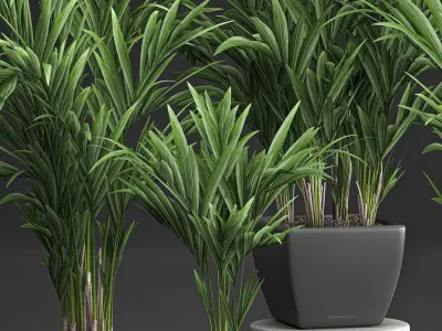 Decorative palm in a white flowerpot 564 3D model