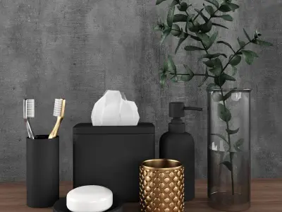 Bathroom Set of toiletries and plant 3D model