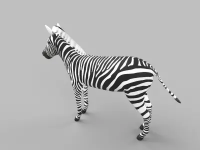 zebra Low-poly 3D model