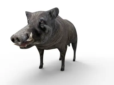 3d Wild Boar Rigged and Animated low poly Low-poly 3D model