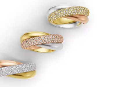 Trinity Ring Large Model Semi Paved 3D print model