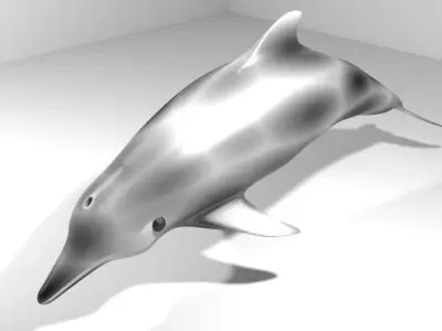 Dolphin - Coastal 3D model