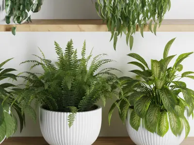 Plants on Shelf SetV3 3D model