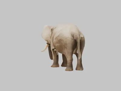 Realistic 3D Elephant Model - High Quality Animal Sculpture Low-poly 3D model