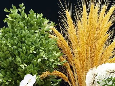 decorative plants collection vol 34-3d models