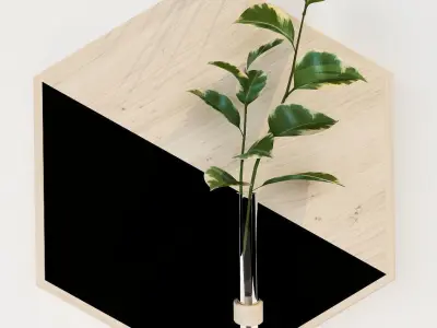 HAnging 2 hexagon vase with plant in it 3D model