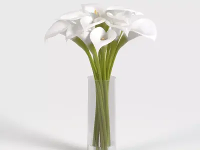 Cala Lily In Vase PBR 3D model