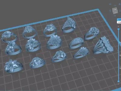 16 Files Ring no gem for Women 3D print model