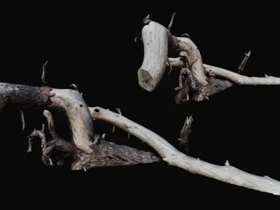 Driftwood Props for Unreal Nanite 3D model