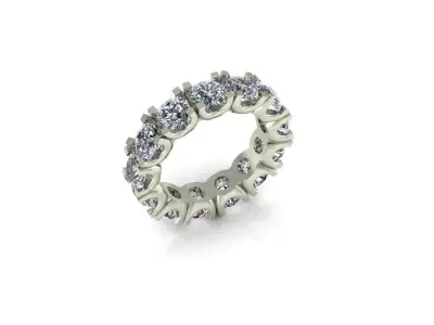 RING PRINT 3D 3D print model