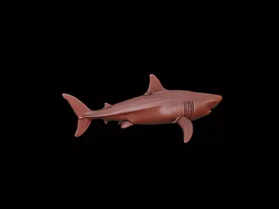 Shark Animal Sculpture 3D print model buy