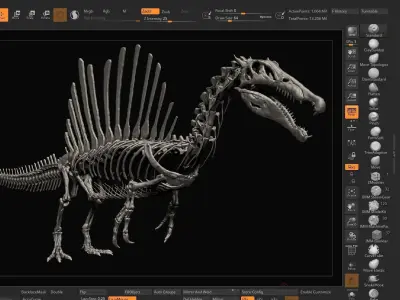 Dinosaur Spinosaurus Full Skeleton Sculpt Model 3D model
